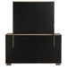 Durango Dresser with Mirror - Levi's Discount Furniture (Vineland, NJ)