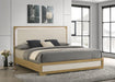 Hyland Panel Bed with LED Lighting - Levi's Discount Furniture (Vineland, NJ)