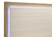 Hyland Panel Bed with LED Lighting - Levi's Discount Furniture (Vineland, NJ)
