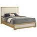 Hyland Panel Bed with LED Lighting - Levi's Discount Furniture (Vineland, NJ)