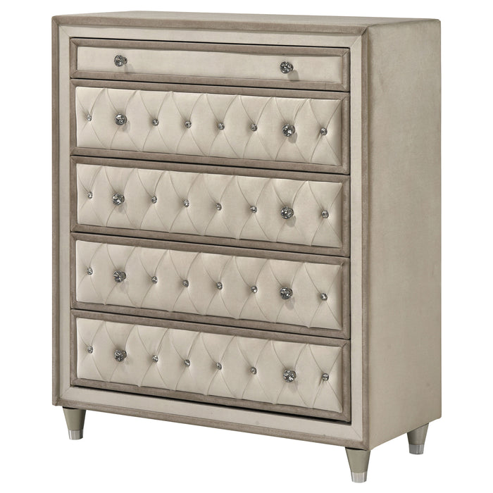 Antonella Chest of Drawers - Levi's Discount Furniture (Vineland, NJ)