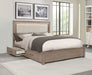Kenora Panel Platform Storage Bed with LED Lighting - Levi's Discount Furniture (Vineland, NJ)