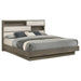 Fenwick Bookcase Platform Bed - Levi's Discount Furniture (Vineland, NJ)