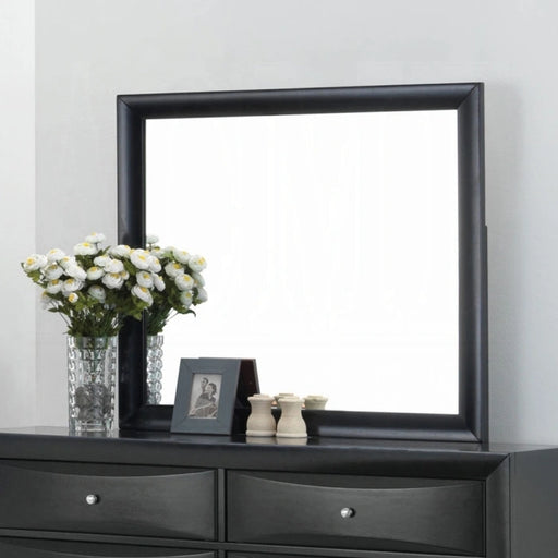 Ireland Mirror - Levi's Discount Furniture (Vineland, NJ)