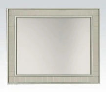 Acme Francesca Mirror in Champagne 62086 - Levi's Discount Furniture (Vineland, NJ)