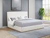 Knox Panel Platform Bed - Levi's Discount Furniture (Vineland, NJ)