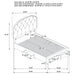 Marianna Panel Platform Storage Bed - Levi's Discount Furniture (Vineland, NJ)