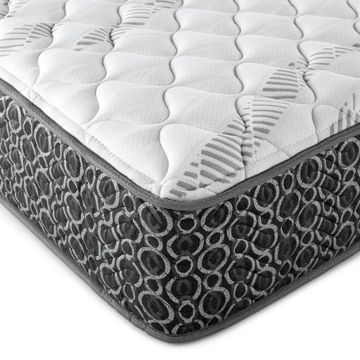 Hayes Firm Tight Top Hybrid Mattress - Levi's Discount Furniture (Vineland, NJ)