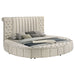 Sonya Panel Floor Storage Bed - Levi's Discount Furniture (Vineland, NJ)