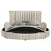 Sonya Panel Floor Storage Bed - Levi's Discount Furniture (Vineland, NJ)