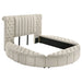 Sonya Panel Floor Storage Bed - Levi's Discount Furniture (Vineland, NJ)