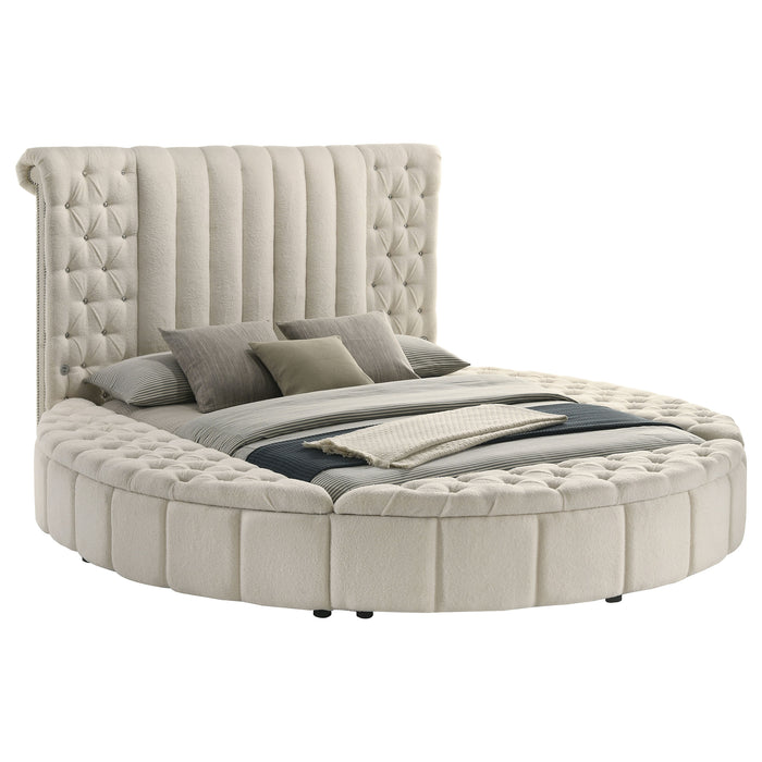 Sonya Panel Floor Storage Bed - Levi's Discount Furniture (Vineland, NJ)
