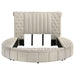 Sonya Panel Floor Storage Bed - Levi's Discount Furniture (Vineland, NJ)