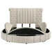 Sonya Panel Floor Storage Bed - Levi's Discount Furniture (Vineland, NJ)