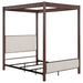 Zimmerlee Canopy Panel Bed - Levi's Discount Furniture (Vineland, NJ)