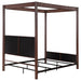 Zimmerlee Canopy Panel Bed - Levi's Discount Furniture (Vineland, NJ)
