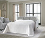 Adlai Sofa Sleeper - Levi's Discount Furniture (Vineland, NJ)