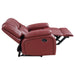 Camila Reclining Sofa Set - Levi's Discount Furniture (Vineland, NJ)