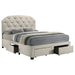Marianna Panel Platform Storage Bed - Levi's Discount Furniture (Vineland, NJ)