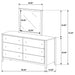 Wilkes Dresser with Mirror - Levi's Discount Furniture (Vineland, NJ)