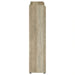 Denia Shoe Cabinet - Levi's Discount Furniture (Vineland, NJ)