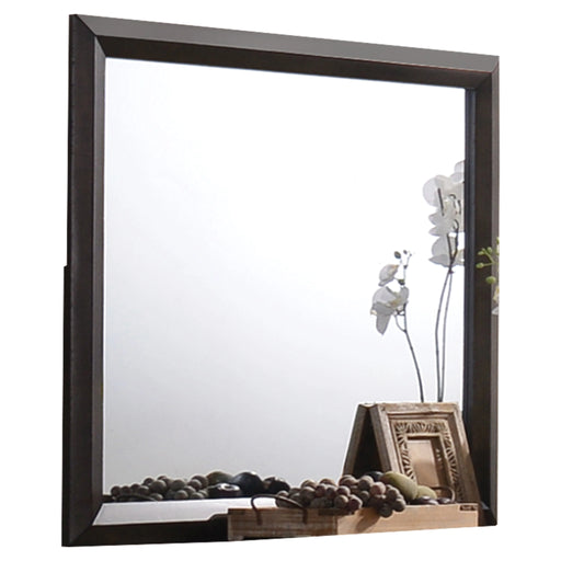Merveille Espresso Mirror - Levi's Discount Furniture (Vineland, NJ)