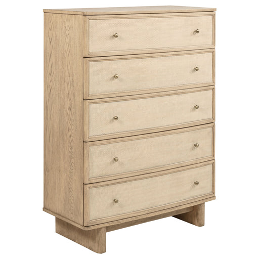 Kailani Chest of Drawers - Levi's Discount Furniture (Vineland, NJ)