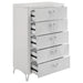 Cassia Chest of Drawers - Levi's Discount Furniture (Vineland, NJ)
