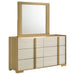 Hyland Dresser with Mirror - Levi's Discount Furniture (Vineland, NJ)
