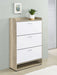 Denia Shoe Cabinet - Levi's Discount Furniture (Vineland, NJ)