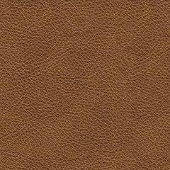 Carianna Sofa - Levi's Discount Furniture (Vineland, NJ)