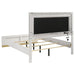 Caraway Panel Bed with LED Lighting - Levi's Discount Furniture (Vineland, NJ)