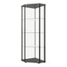 Zenobia Glass Shelf Curio Cabinet Clear and Black - Levi's Discount Furniture (Vineland, NJ)