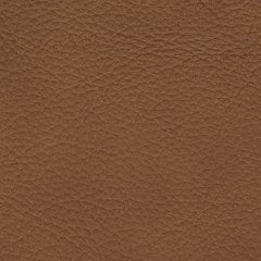 Magic Man 5-Piece Power Reclining Sectional - Levi's Discount Furniture (Vineland, NJ)