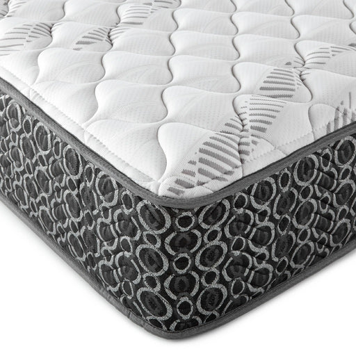 Hayes Firm Tight Top Hybrid Mattress - Levi's Discount Furniture (Vineland, NJ)