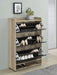Denia Shoe Cabinet - Levi's Discount Furniture (Vineland, NJ)