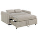 Portland Convertible Sleeper Sofa Bed - Levi's Discount Furniture (Vineland, NJ)