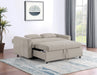 Portland Convertible Sleeper Sofa Bed - Levi's Discount Furniture (Vineland, NJ)