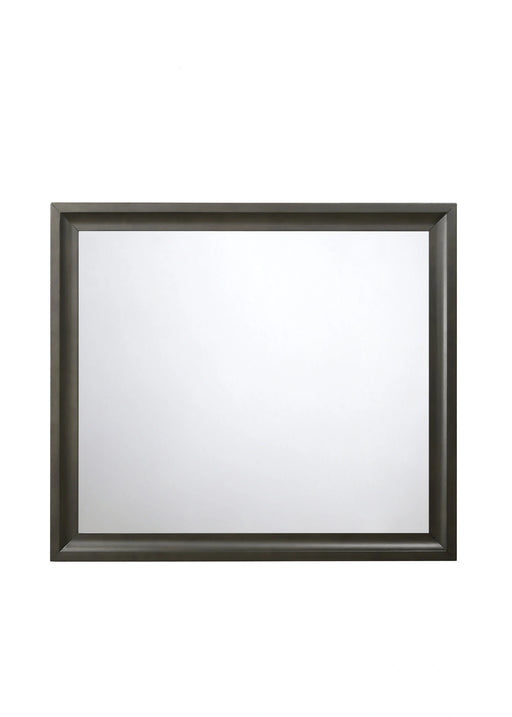 Soteris Antique Gray Mirror - Levi's Discount Furniture (Vineland, NJ)