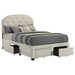 Marianna Panel Platform Storage Bed - Levi's Discount Furniture (Vineland, NJ)