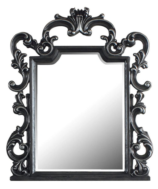 Acme Furniture House Delphine Mirror in Charcoal 28834 - Levi's Discount Furniture (Vineland, NJ)