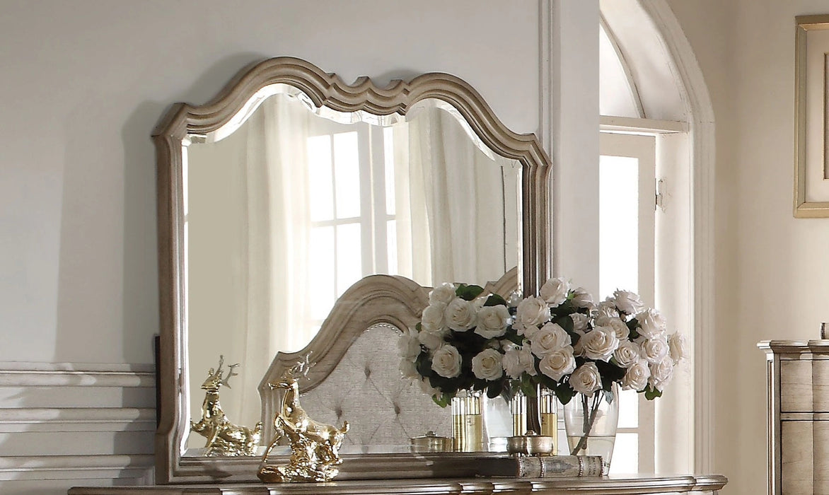 Acme Chelmsford Landscape Mirror in Antique Taupe 26054 - Levi's Discount Furniture (Vineland, NJ)