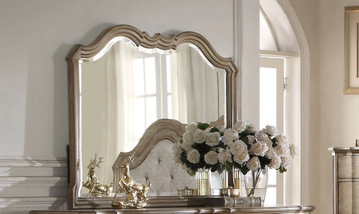 Acme Chelmsford Landscape Mirror in Antique Taupe 26054 - Levi's Discount Furniture (Vineland, NJ)