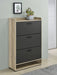 Denia Shoe Cabinet - Levi's Discount Furniture (Vineland, NJ)