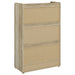 Denia Shoe Cabinet - Levi's Discount Furniture (Vineland, NJ)