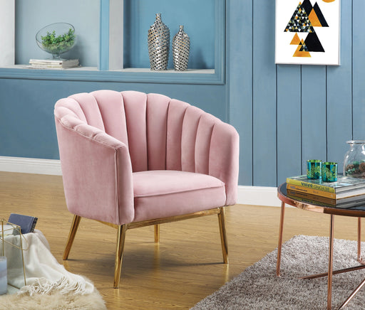 Colla Blush Pink Velvet & Gold Accent Chair - Levi's Discount Furniture (Vineland, NJ)