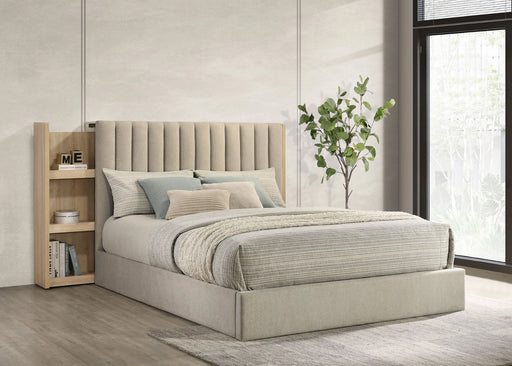 Arielle Bookcase Bed - Levi's Discount Furniture (Vineland, NJ)