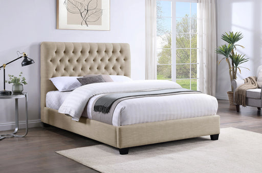 Chloe Panel Bed - Levi's Discount Furniture (Vineland, NJ)
