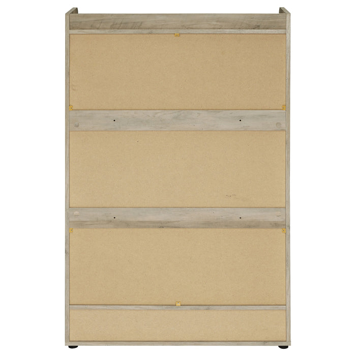 Denia Shoe Cabinet - Levi's Discount Furniture (Vineland, NJ)