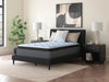 Destin Cove PT Mattress - Levi's Discount Furniture (Vineland, NJ)